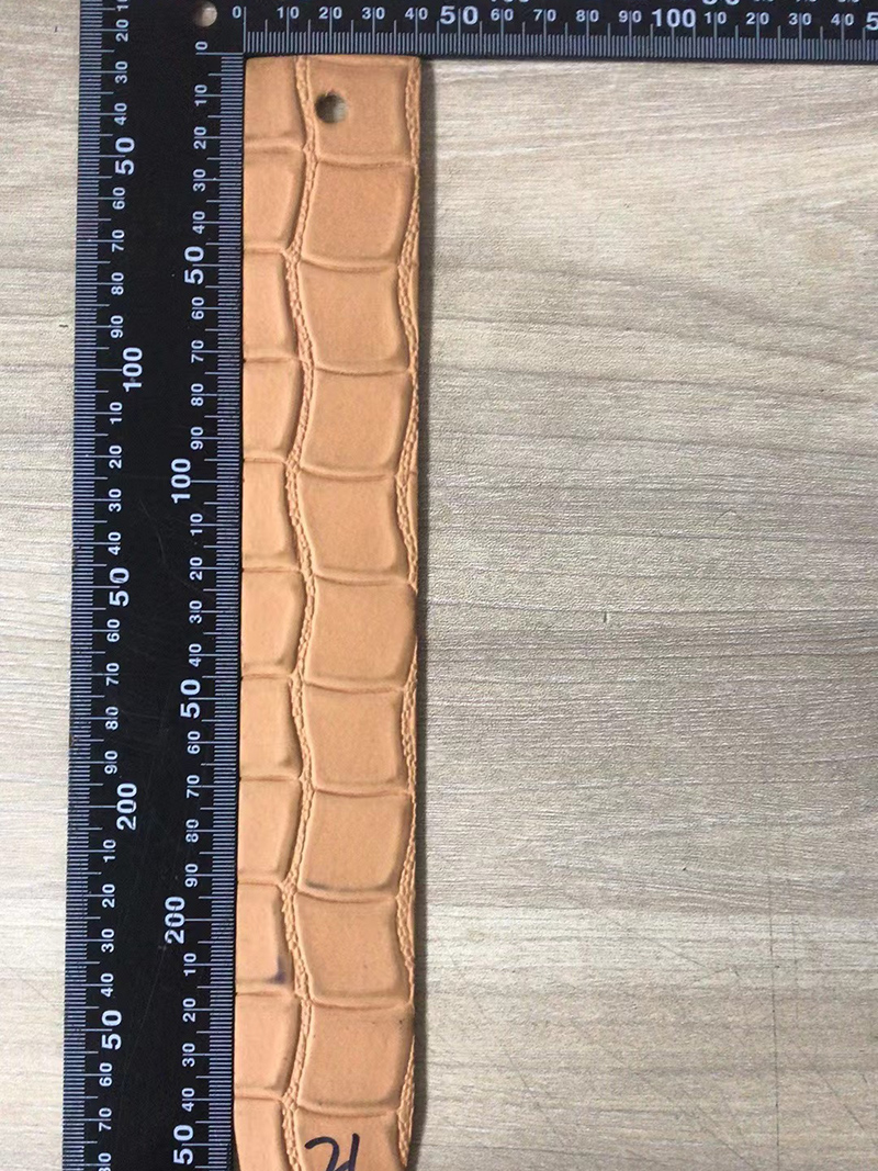 Crocodile Pattern