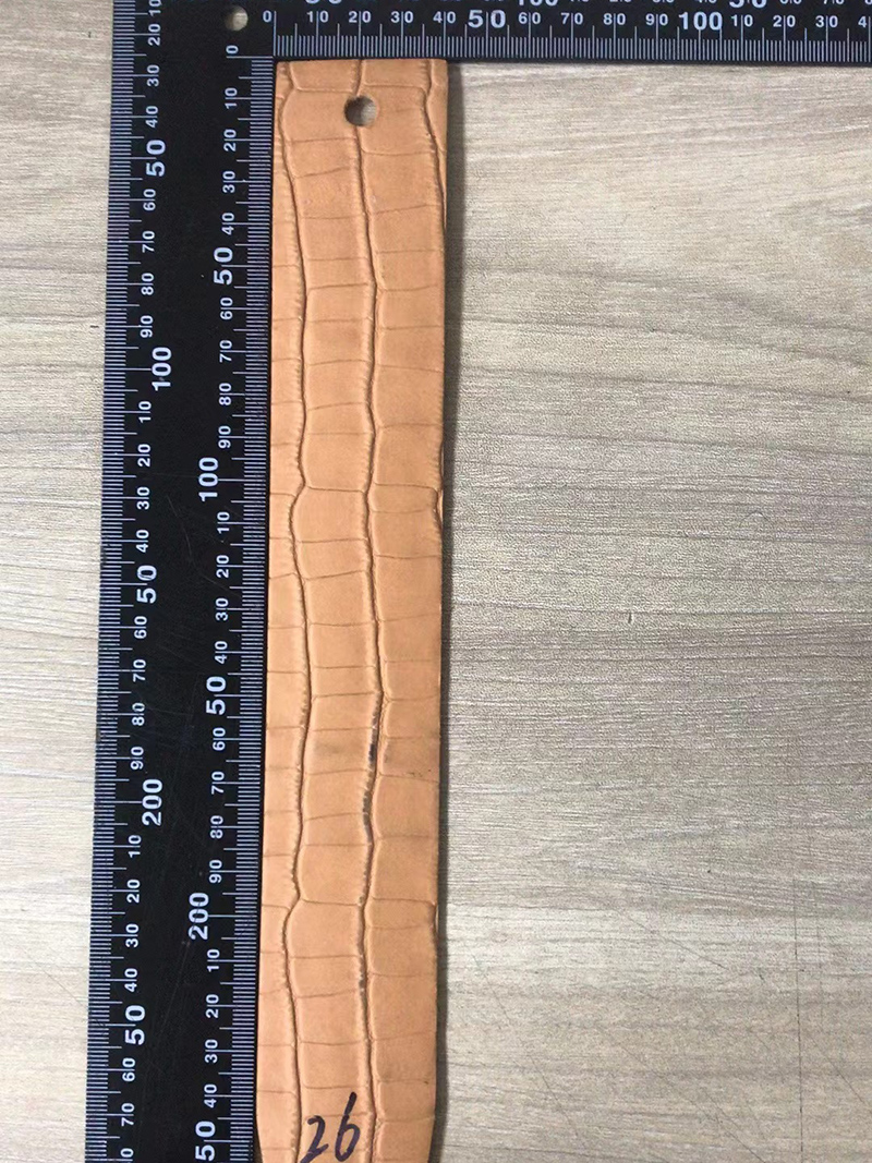 Crocodile Pattern