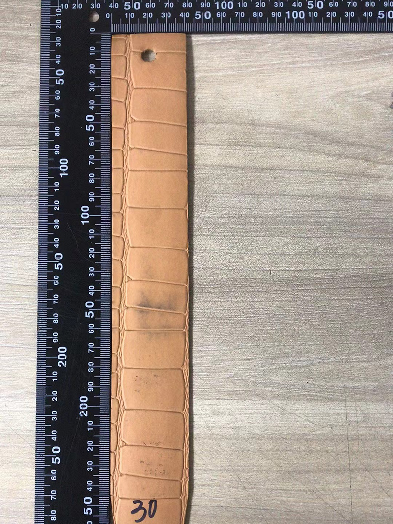 Crocodile Pattern