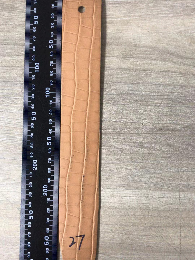 Crocodile Pattern