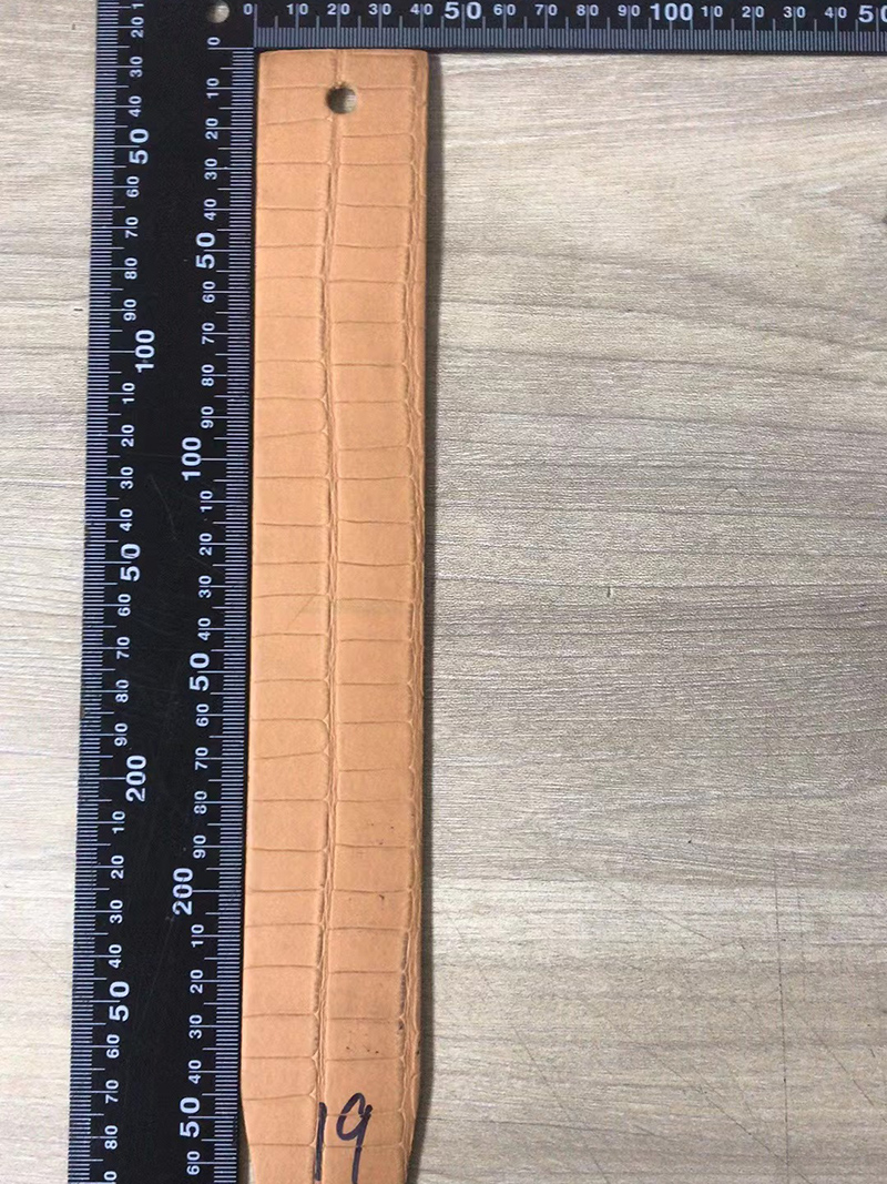 Crocodile Pattern